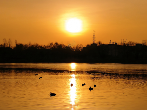 一亩园冬韵：湖漾冰凝冬生趣，花卉霜缀笑含春